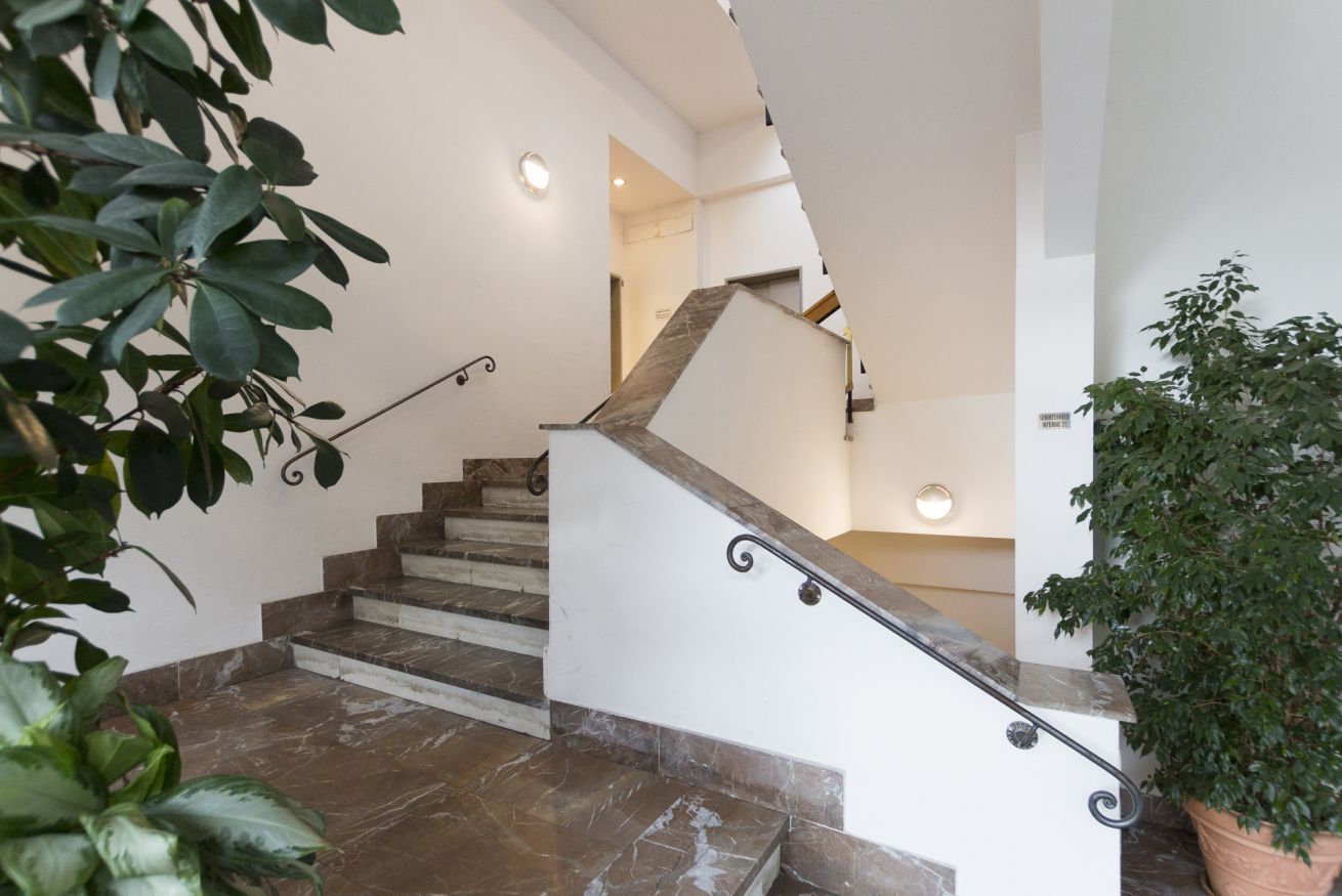 A staircase with marble steps and a wooden handrail, surrounded by indoor plants.