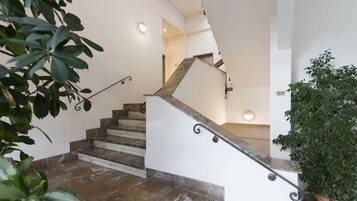 A staircase with marble steps and a wooden handrail, surrounded by indoor plants.