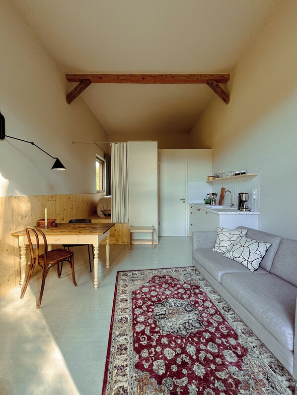 Living area - Barn ALMA (2 people) (Obernai)