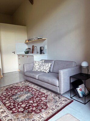 Living area - Barn ALMA (2 people) (Obernai)