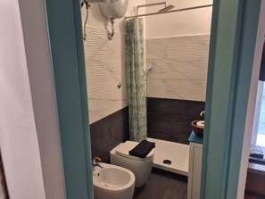 Shower, hair dryer, bidet, towels