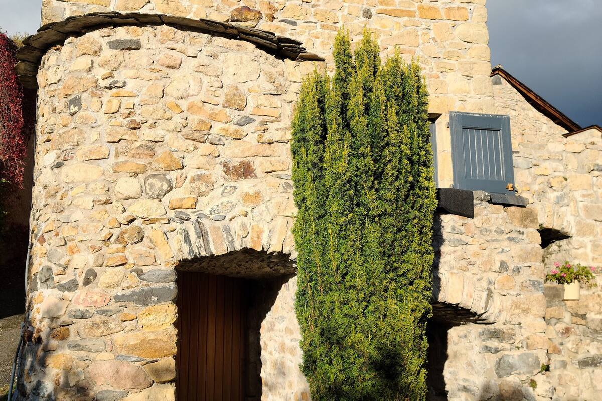A stone building with a wooden door and a tall, narrow tree in front.
