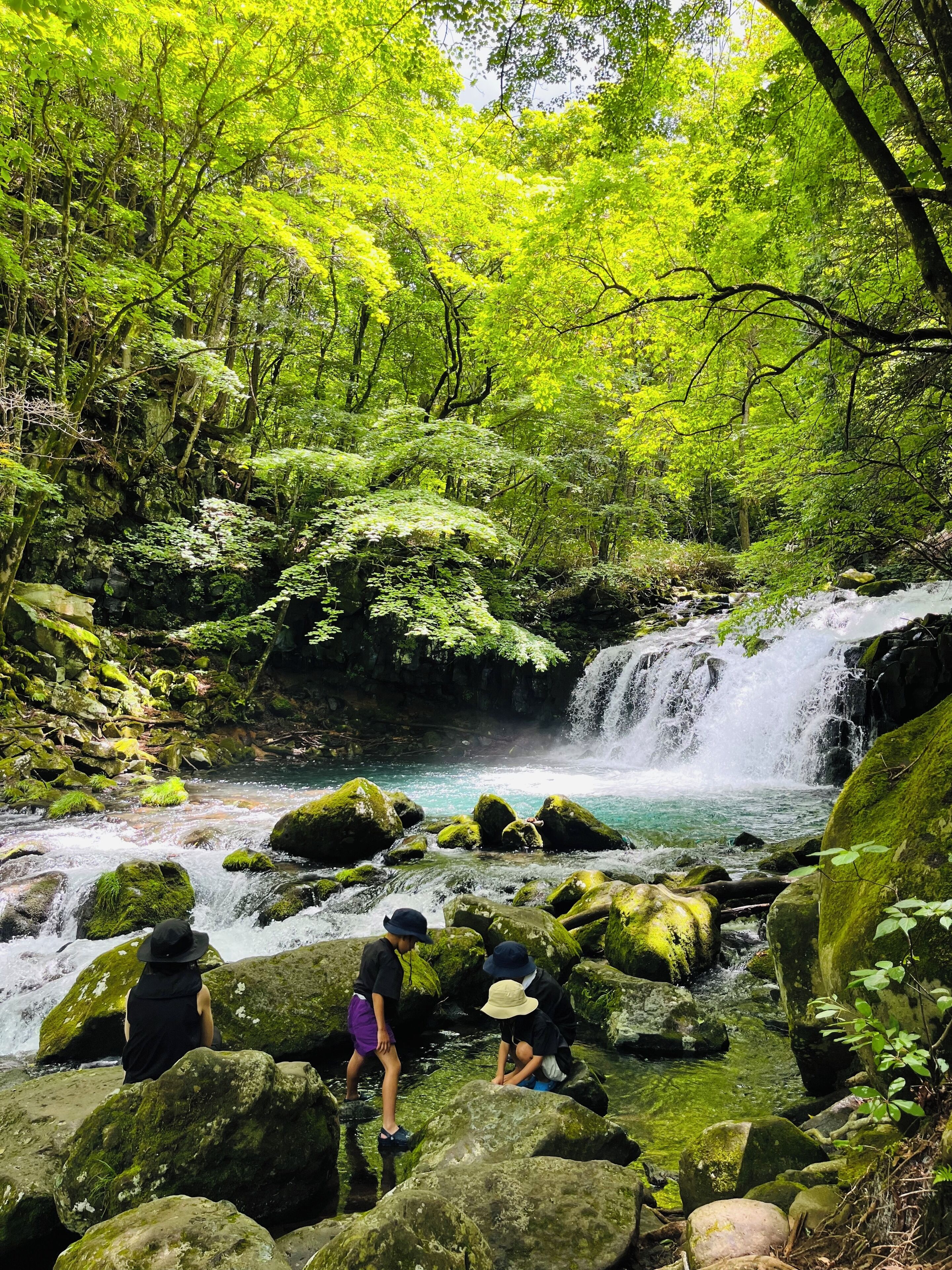 Une cascade naturelle, entourée d’une végétation luxuriante et de rochers.