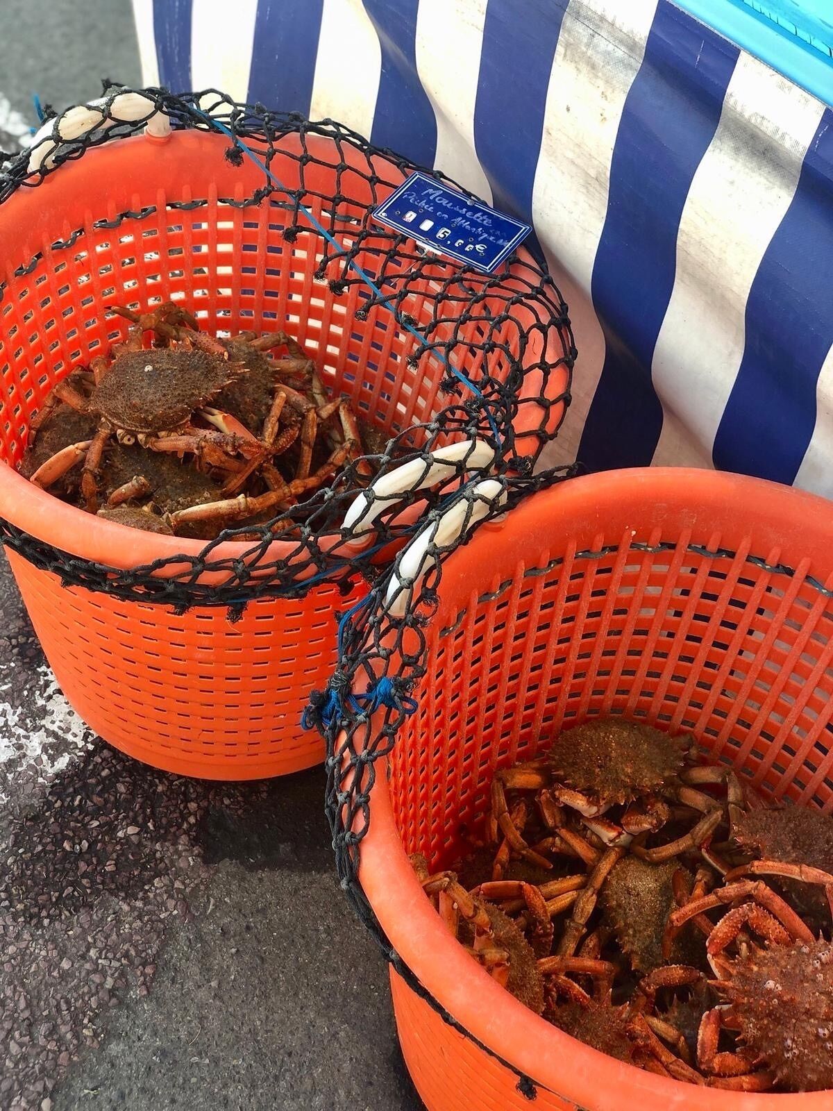 Two orange baskets containing crabs, placed on a surface with a striped blue and white object in the background.