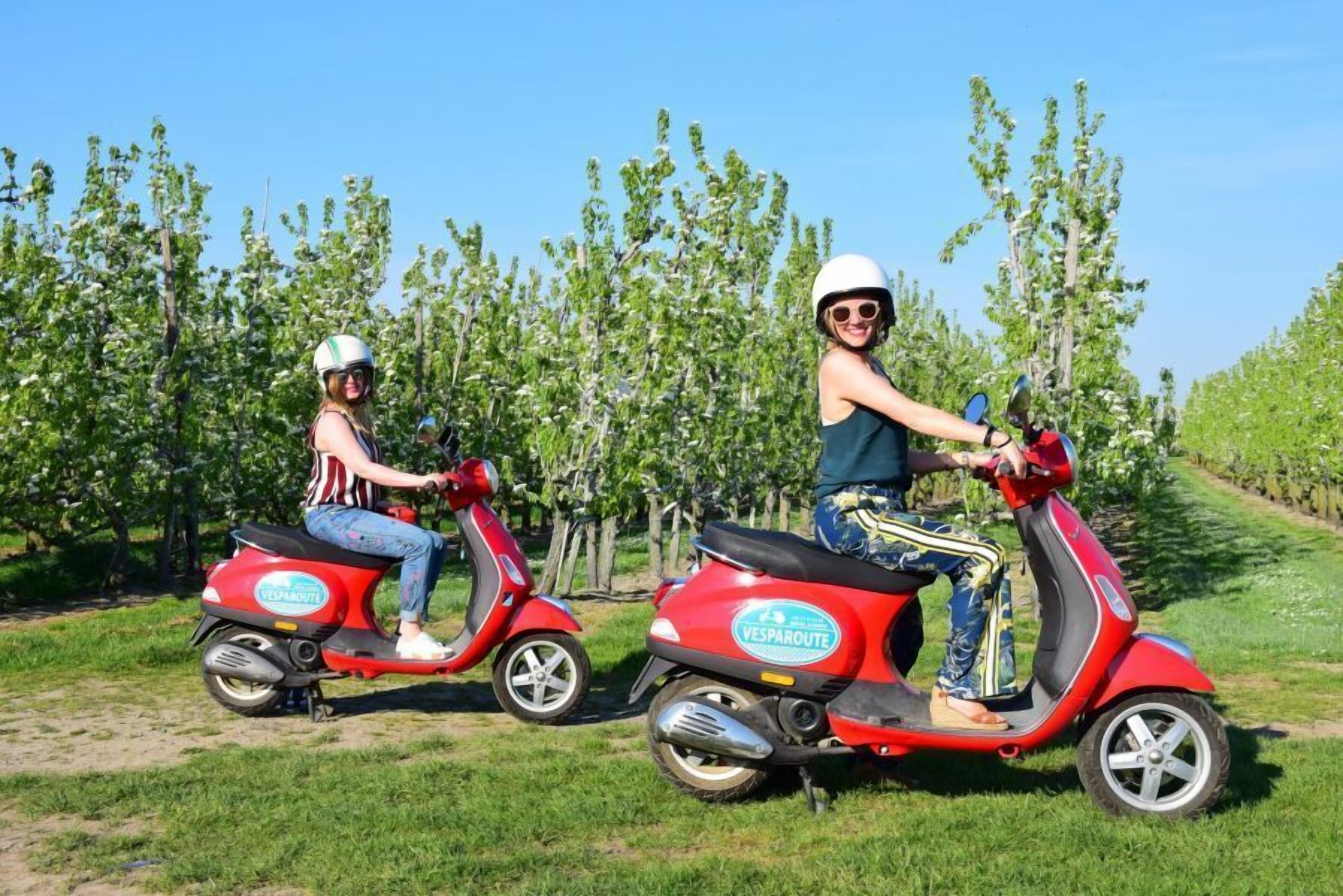 Two people riding red Vesparoute scooters in a vineyard.