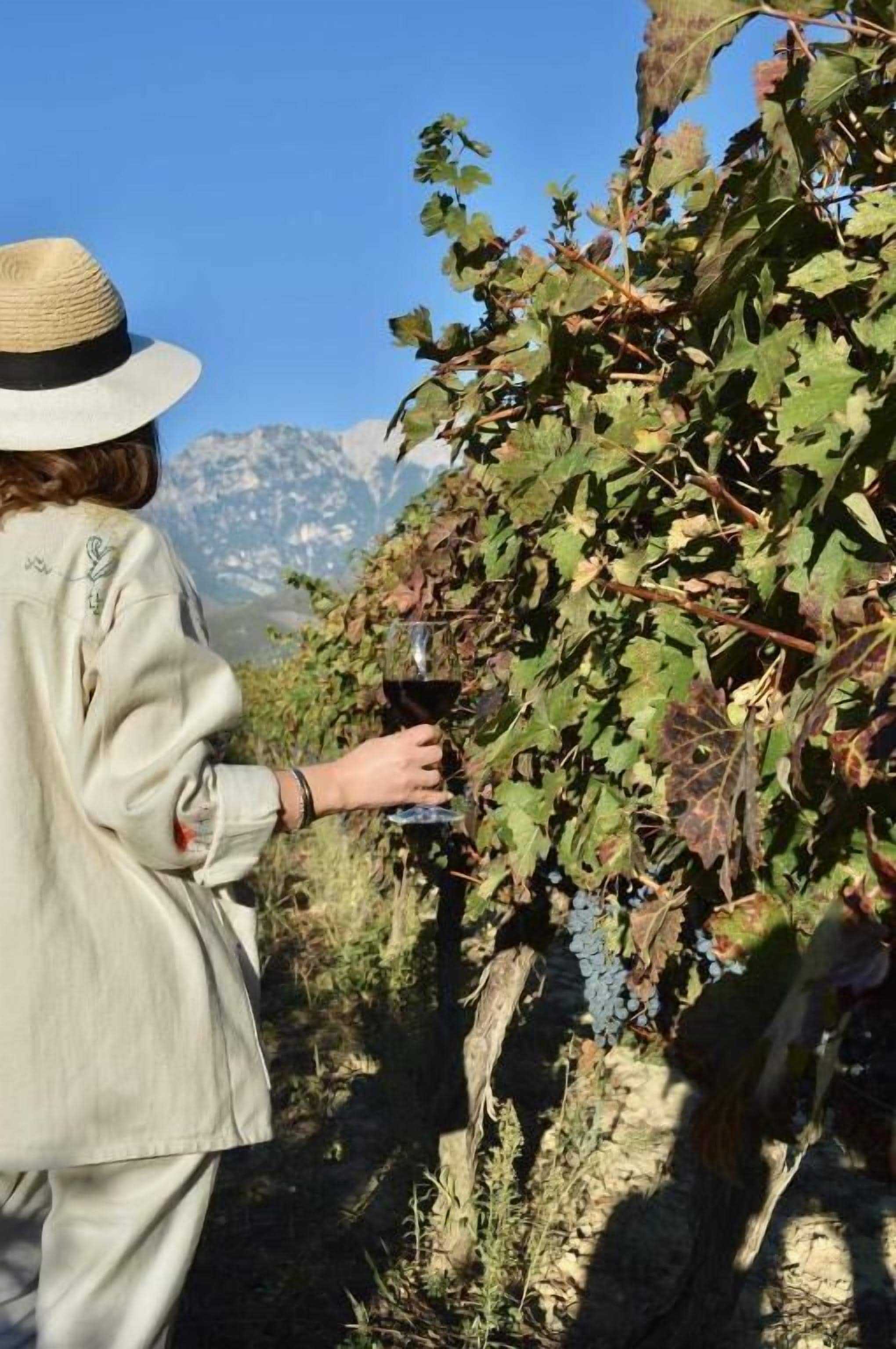 Une personne se tient dans un vignoble, un verre de vin rouge à la main.