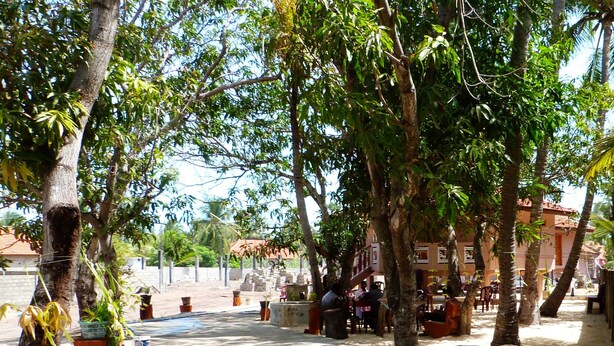 An outdoor area with trees, benches, and a paved walkway. - Plvillas (Pesalai)