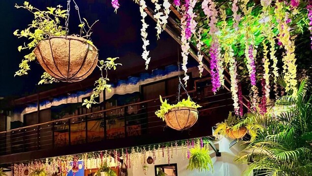 An indoor pool area with hanging plants and a mural.