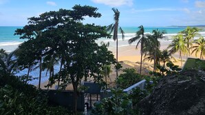 Vista da praia com palmeiras, céu claro e escadaria descendo até a areia.