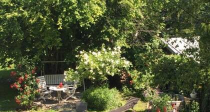 Beautiful living near Schönbrunn