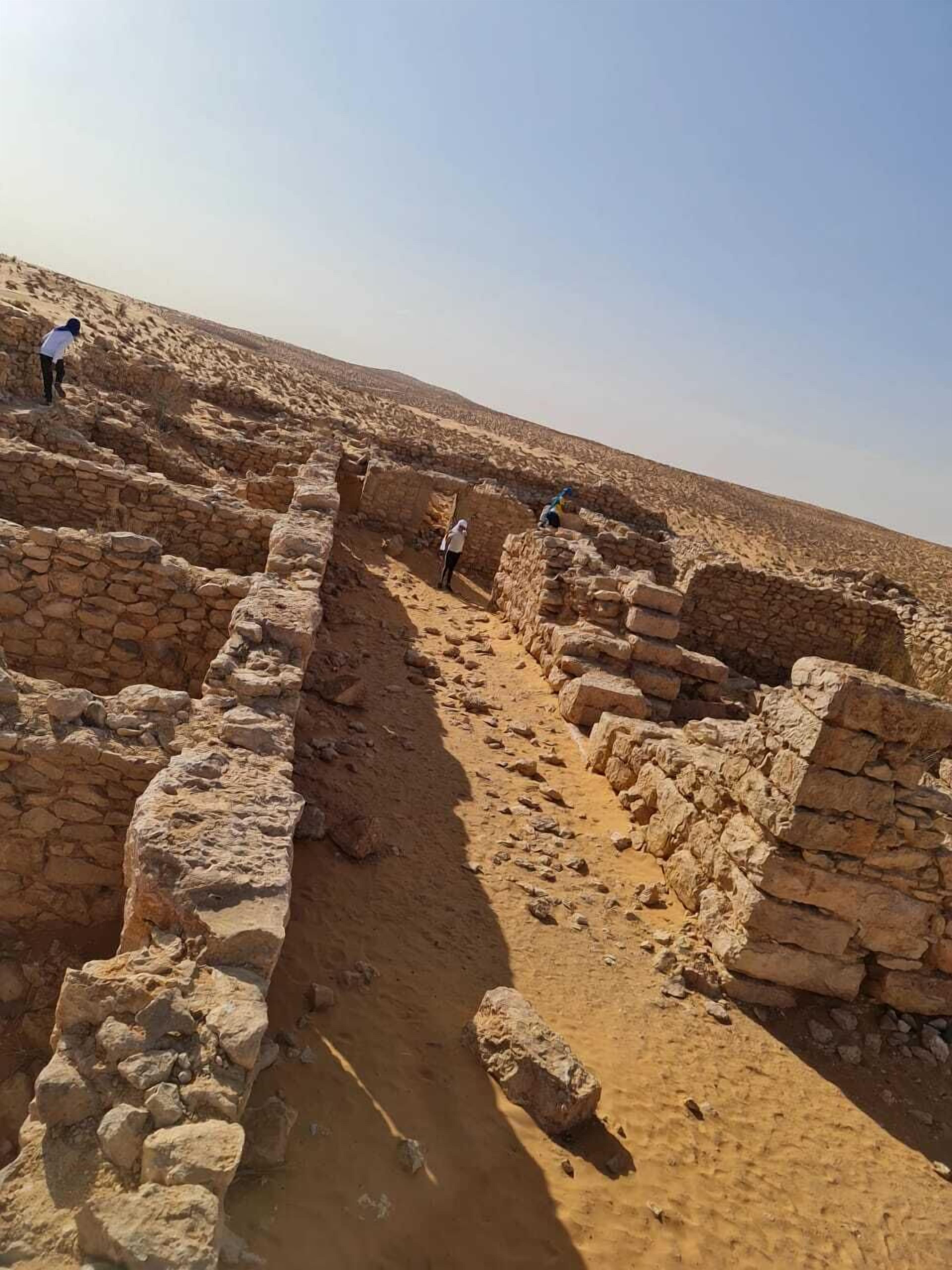 Un sitio arqueológico con ruinas de piedra y un sendero estrecho.