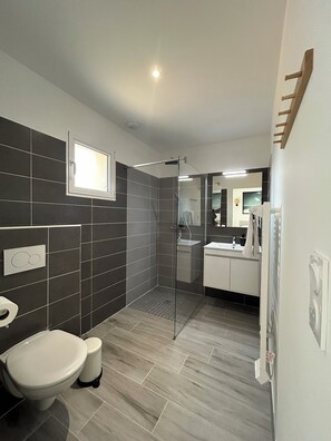 Shower, hair dryer, toilet paper