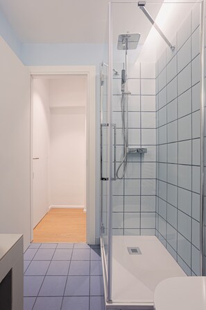 Shower, hair dryer, bidet, towels