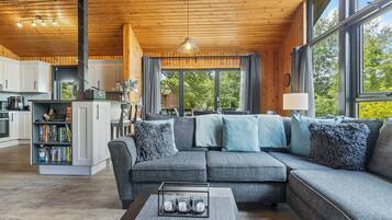 TV connectée, lecteur de DVD, livres