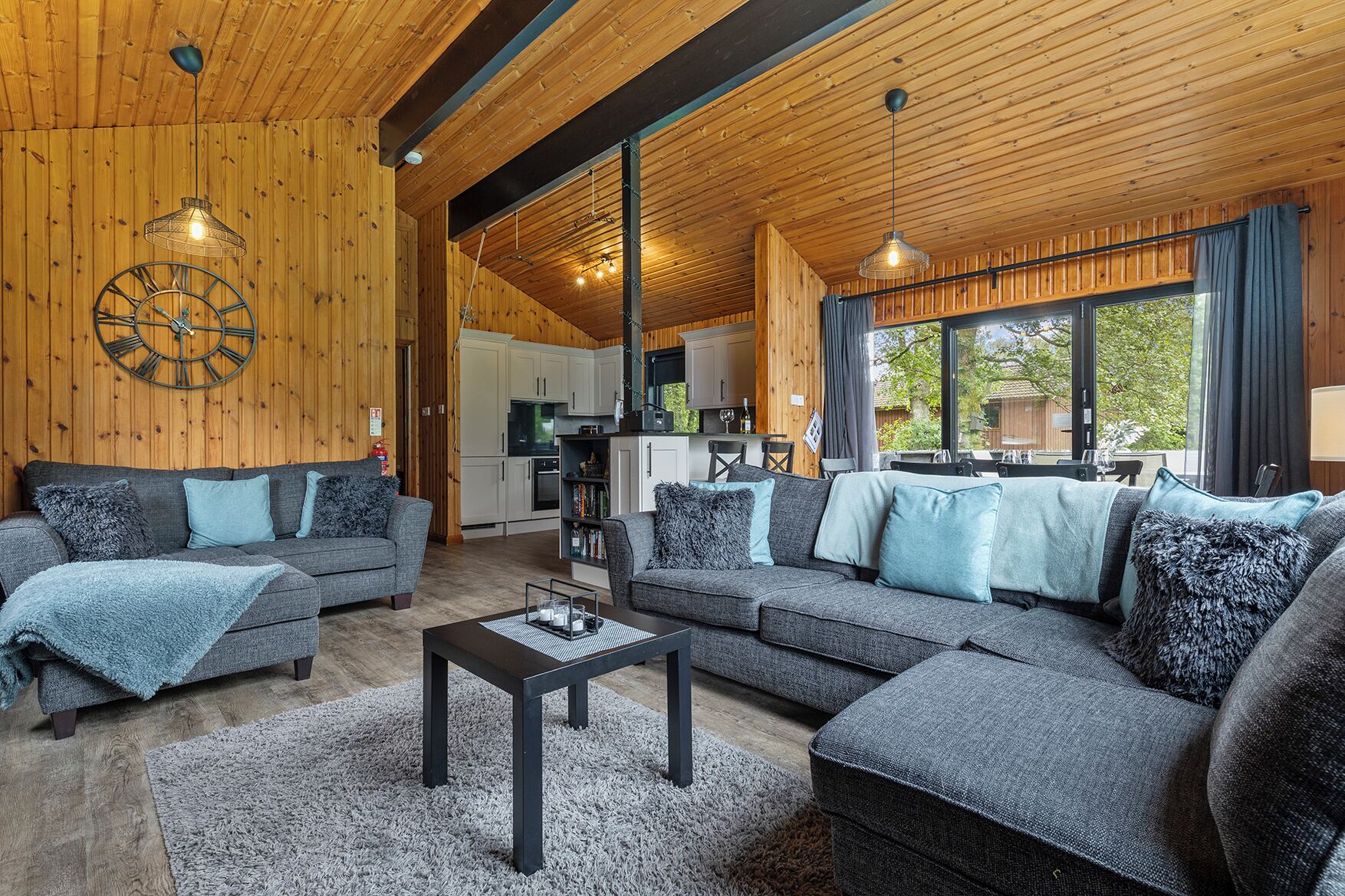Smart TV, fireplace, DVD player, books
