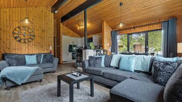 Smart TV, fireplace, DVD player, books