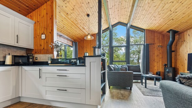 A modern kitchen with white cabinets, a built-in microwave, and a large window overlooking a forest. - Newsham Lodge (Penrith)