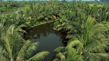 Un paisaje exuberante con densas palmeras y un pequeño estanque.