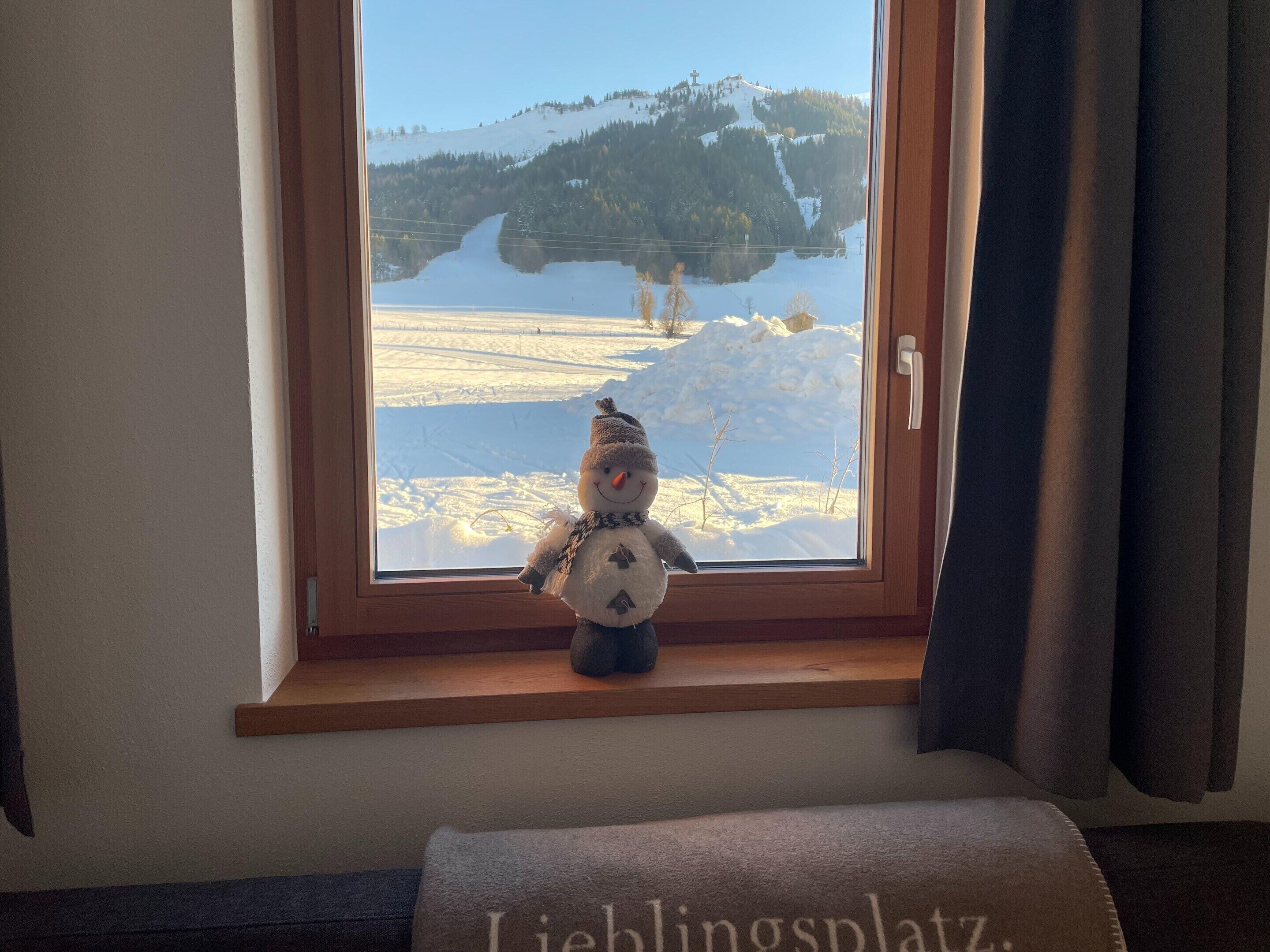 A window with a view of a snowy landscape, a plush toy on the windowsill, and a towel with text.