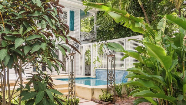 Un'area piscina con recinzione bianca, una piccola cascata e vegetazione lussureggiante.