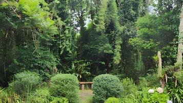 Comfort Suite | Property grounds