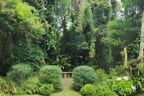 Comfort-suite | Overnatningsstedets område