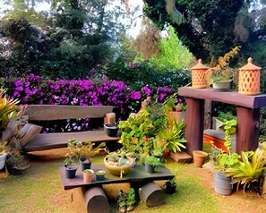 Comfort suite | Terrein van de accommodatie