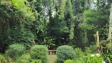 Suíte conforto | Área da propriedade