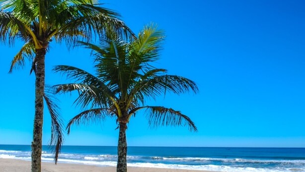 A beach with two palm trees and a clear blue sky. - Pousada Nereidas (Guaratuba)