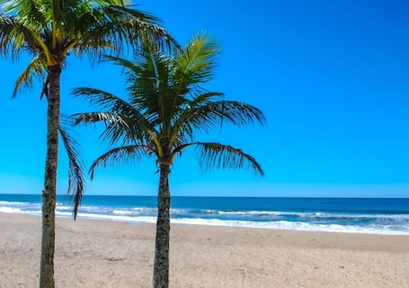 靠近海滩、白沙