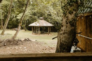 Property grounds - Running  Water  Tiny Cabin at Big Fork (Mena)