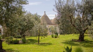 Un jardí amb oliveres, un edifici amb teulades còniques i un pràcticament impecable.