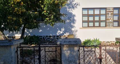 Cozy mountain house for couples or families - we're pet-friendly!