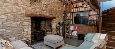 Televisión, chimenea, tenis de mesa y libros