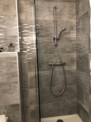 Shower, hair dryer, soap, toilet paper