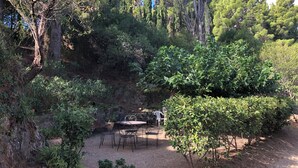 A garden area with a table and chairs, surrounded by various trees and shrubs.