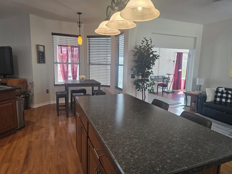 Spacious Pet Friendly Home Offers Everything You Need For A Relaxing Stay. - Spring Hill, FL