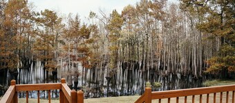 Lakefront Getaway, The Perch-Deck, Grill, Fire Pit, Fun!