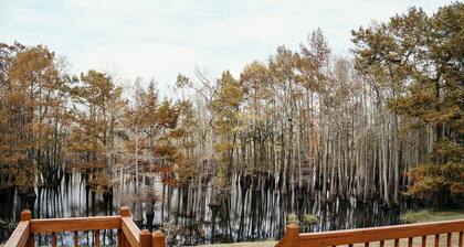 Lakefront Getaway, The Perch-Deck, Grill, Fire Pit, Fun!