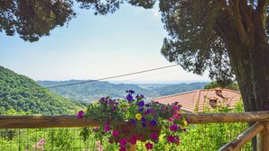 A wooden fence with a hanging flower basket.