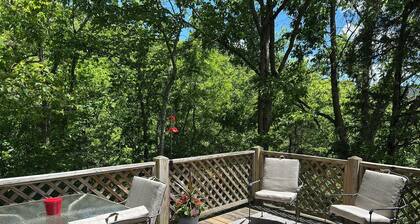 Cozy Cottage-Devil's Bathtub/Nat Tunnel-Secluded, WiFi, Fireplace, Whirlpool Tub