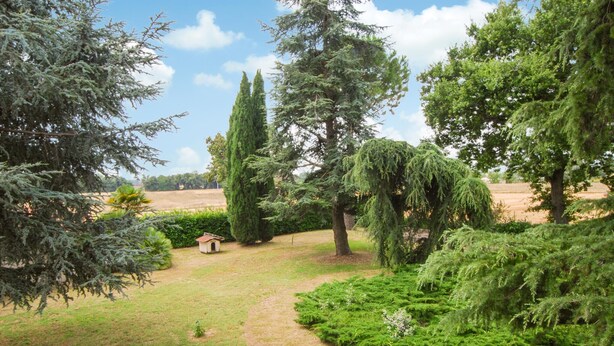 A garden with various trees, a small wooden structure, and a clear sky.