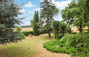 A garden with various trees, a small wooden structure, and a clear sky.