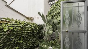 A narrow alley with dense foliage, a cactus, and a door with decorative glass. - A Casa di Marilù by Rentbeat (Martina Franca)