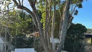 A backyard with a swimming pool, a white bench, and a large tree. - Charming 4-bedroom house for the entire family (sixth court)