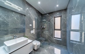 Shower, hair dryer