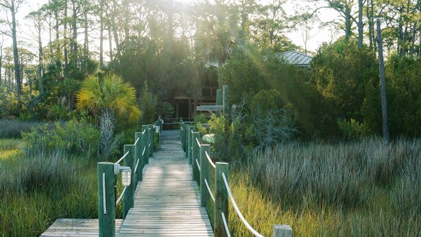 Property grounds - Charming 2-bedroom Tree House in fantastic Saint George Island (Saint George Island)