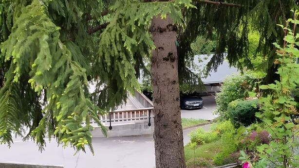 A tree-lined street with a building in the background. - Studio Apartment 'Saint-Gervais' with Mountain View, Shared Pool and Private Garden (Saint-Gervais-les-Bains)