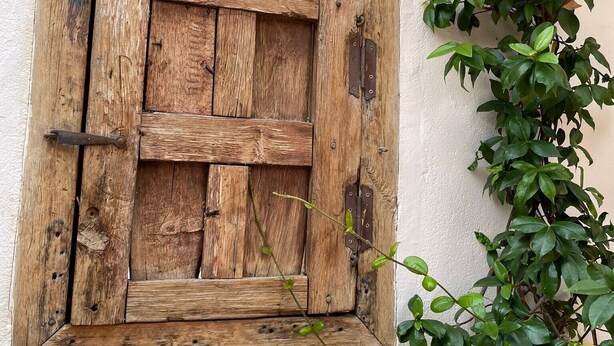 A rustic wooden shutter window with a plant growing beside it.