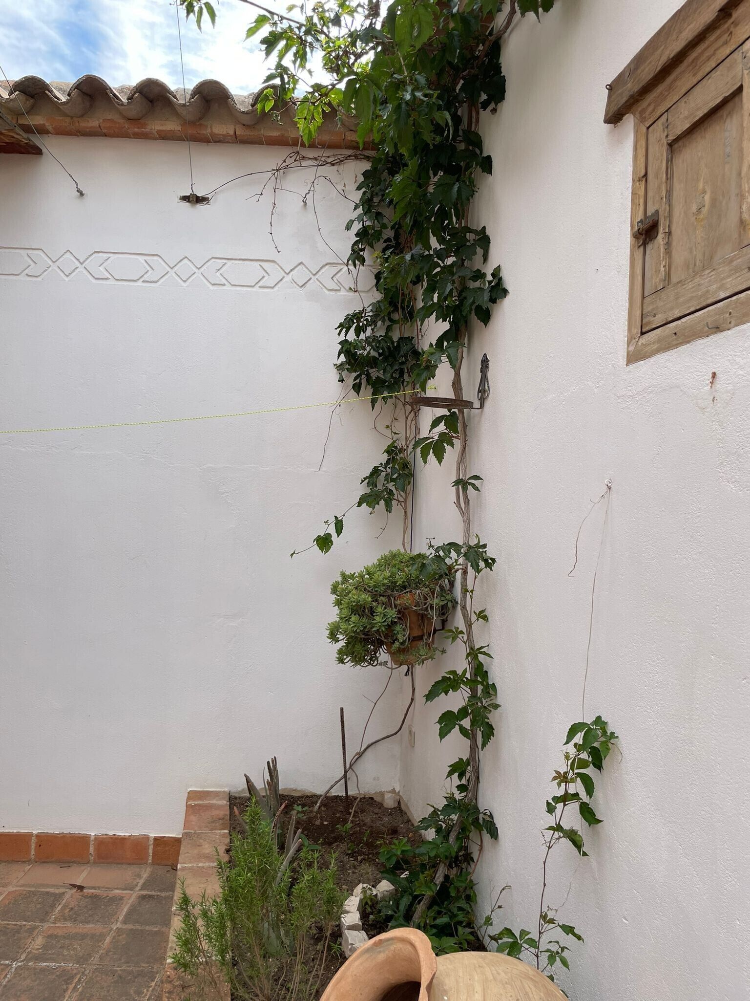 Pared blanca con puerta de madera, una ventana pequeña y una planta en maceta.